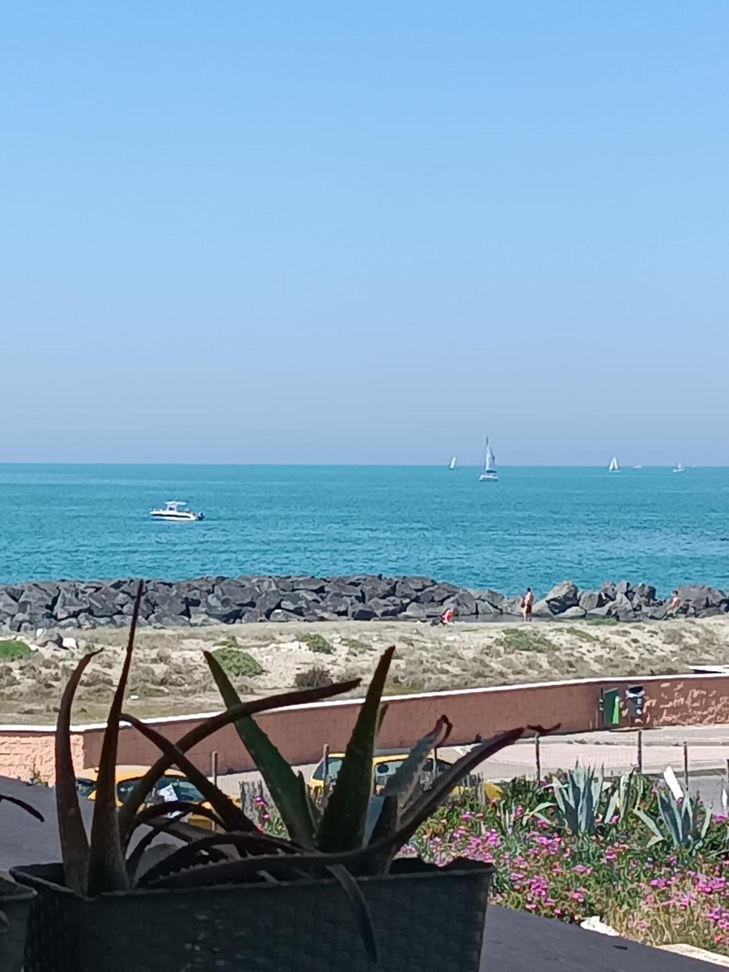 Armareaoverseassuites 1 فيوميتشينو المظهر الخارجي الصورة